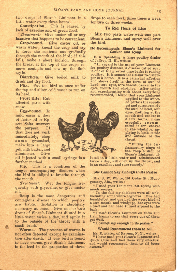 sloans farm and home journal vol 1 no 4 1909 017 page 15