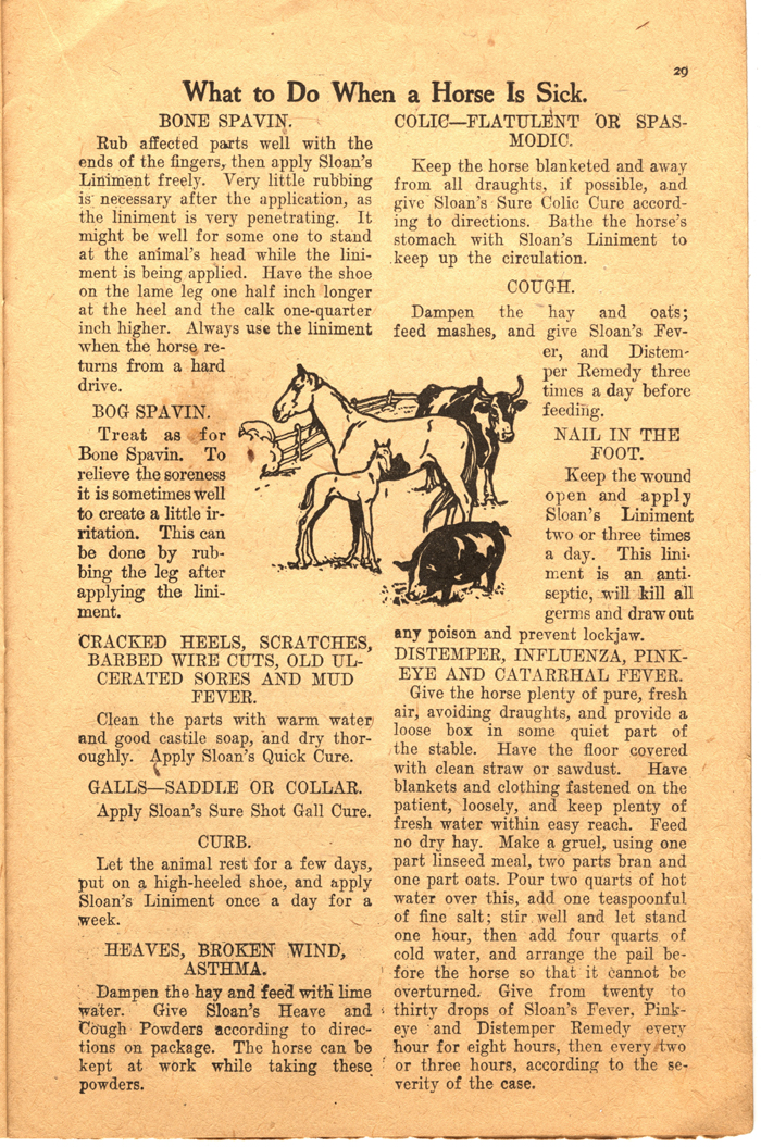 sloans farm and home journal vol 1 no 4 1909 031 page 29