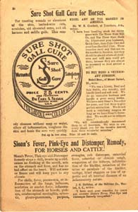 sloans farm and home journal vol 1 no 4 1909 036 page 34