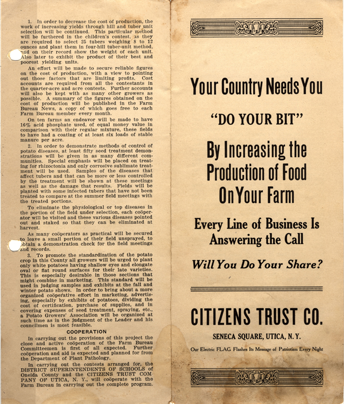 oneida county potato improvement contest brochure 1917 001