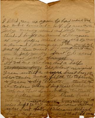 how i grew my potato crop isley harold 1918 handwritten 003