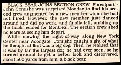 john comishe and section crew sight black bear near woodgate 1952