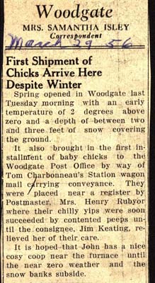 first shipment of chicks arrive despite winter weather march 29 1956