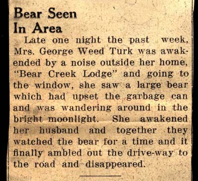 bear seen in area august 1957
