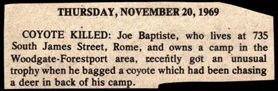 joe baptiste kills coyote november 20 1969