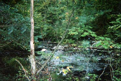 de morelos gallery (123) view of long lake outlet