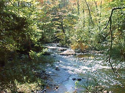 de morelos gallery (123a) view of long lake outlet