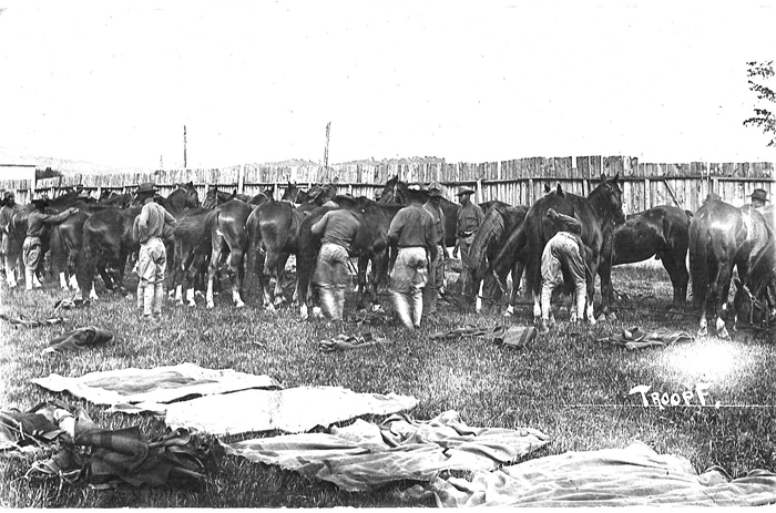 3 H Troop F horses