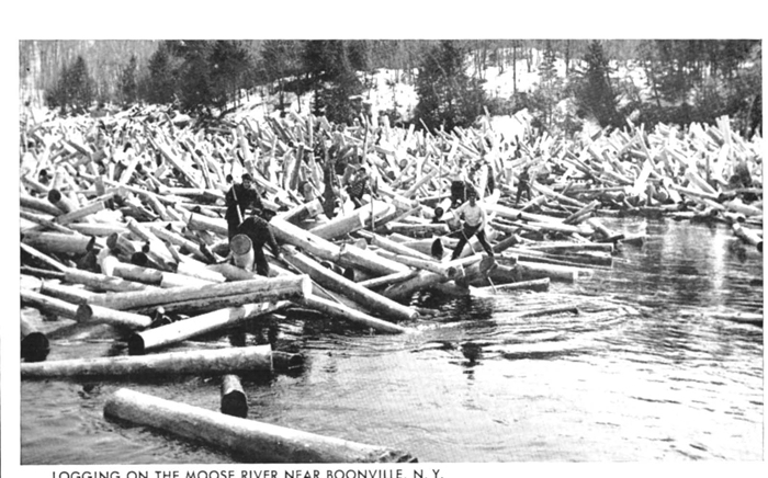 4 A Logging on the Moose River