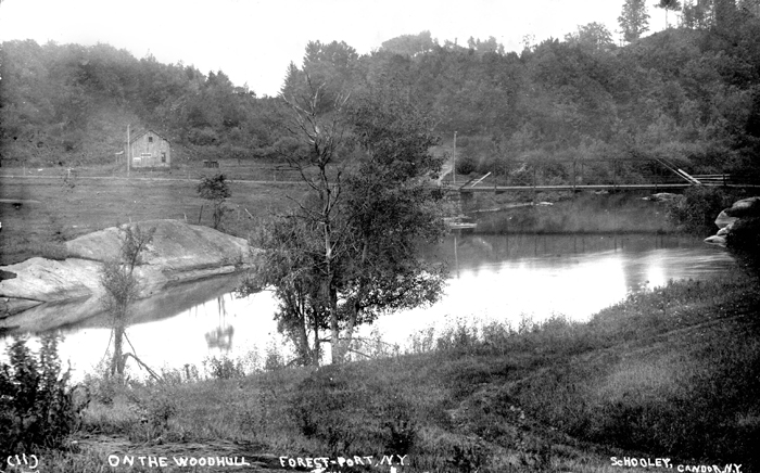 053 myers collection forestport ny on the woodhull