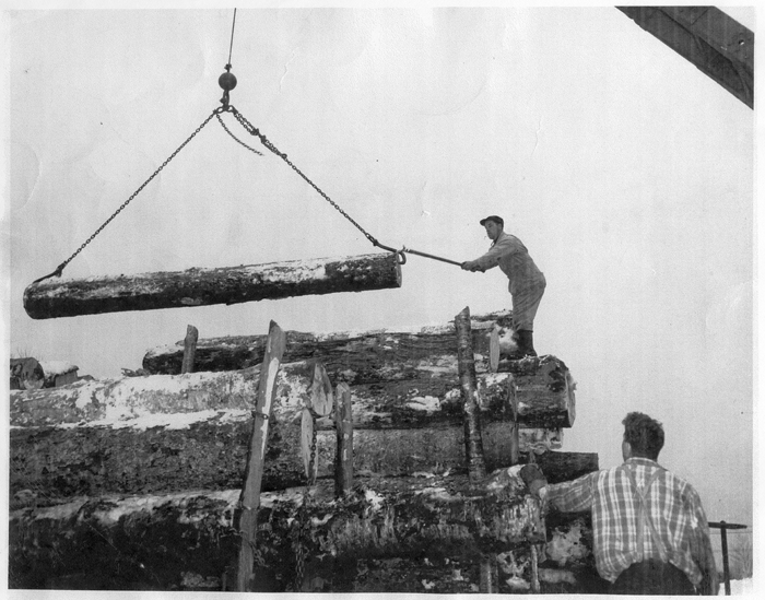 log cars being loaded at white lake near station 003